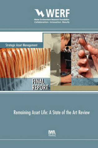 Cover of Remaining Asset Life