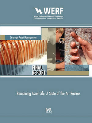 Cover of Remaining Asset Life