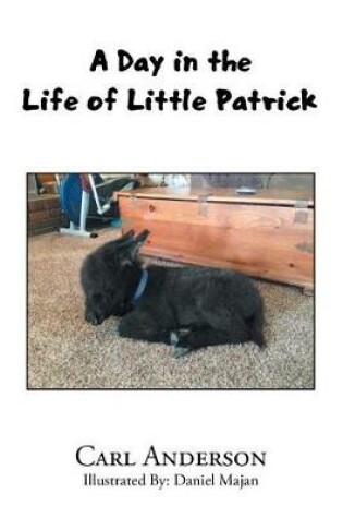 Cover of A Day in the Life of Little Patrick