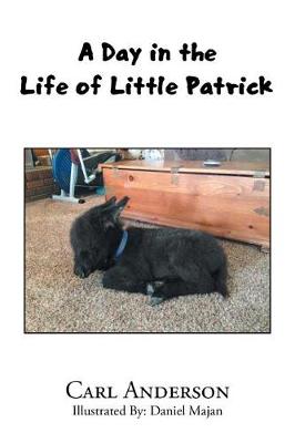 Book cover for A Day in the Life of Little Patrick