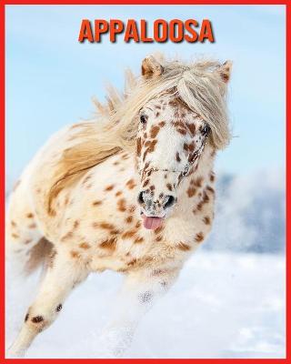 Book cover for Appaloosa