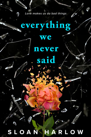 Cover of Everything We Never Said