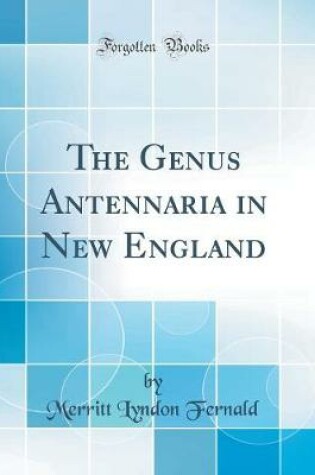 Cover of The Genus Antennaria in New England (Classic Reprint)