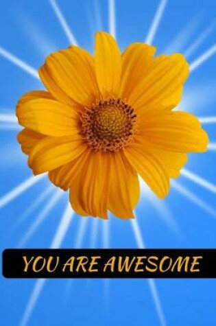 Cover of You Are Awesome Sunflower Notebook Journal 150 College Ruled Pages 8.5 X 11