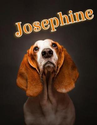 Book cover for Josephine