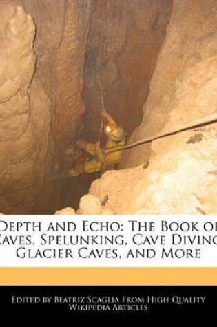 Cover of Depth and Echo