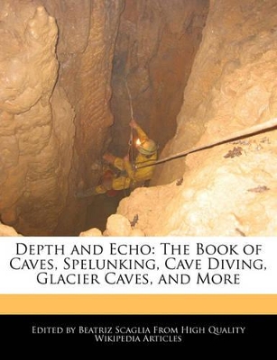 Book cover for Depth and Echo