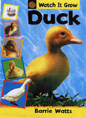 Book cover for Duck