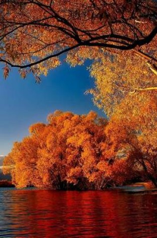 Cover of The Fall Scenery of Lake Tekapo, New Zealand