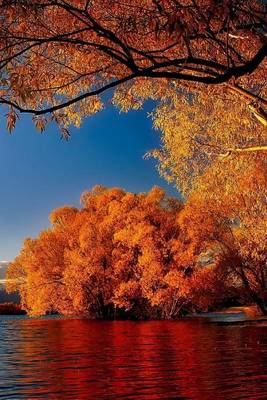 Book cover for The Fall Scenery of Lake Tekapo, New Zealand