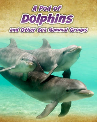 Cover of A Pod of Dolphins