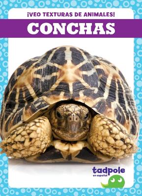 Book cover for Conchas (Shells)