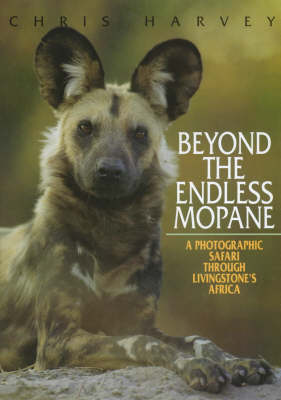 Book cover for Beyond the Endless Mopane