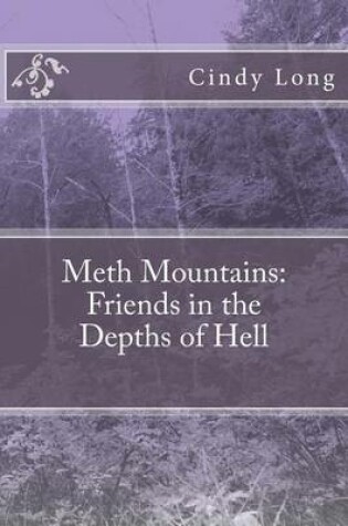 Cover of Meth Mountains