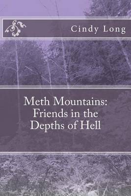 Book cover for Meth Mountains