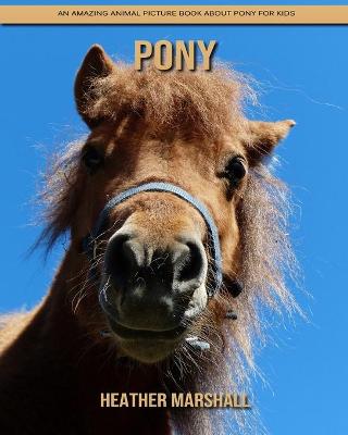 Book cover for Pony