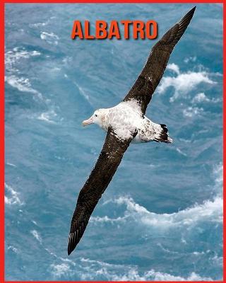 Book cover for Albatro