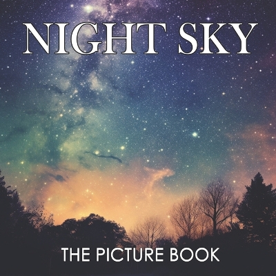 Book cover for The Picture Book of Night Sky