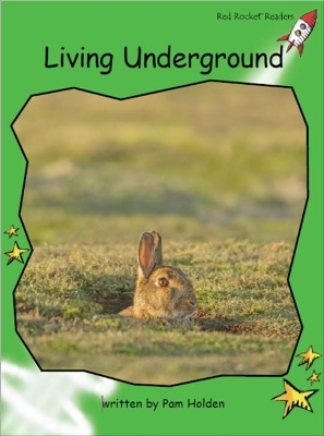 Cover of Living Underground