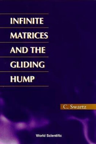 Cover of Infinite Matrices and the Gliding Hump