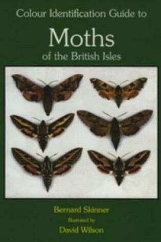 Cover of Colour Identification Guide to the Moths of the British Isles