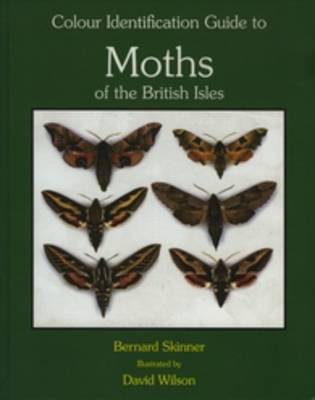 Book cover for Colour Identification Guide to the Moths of the British Isles