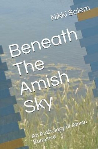 Cover of Beneath The Amish Sky