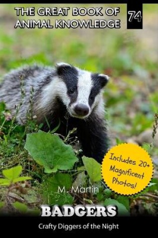 Cover of Badgers