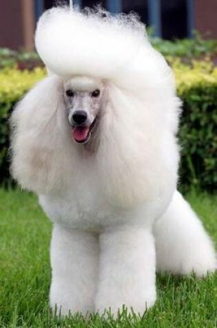 Cover of Fluffy White Poodle Dog Journal