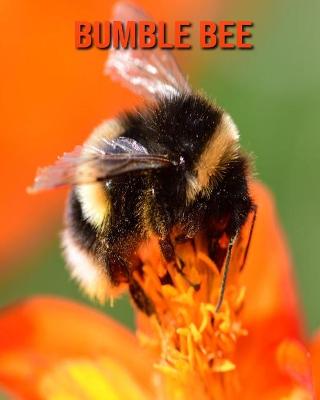 Book cover for Bumble Bee