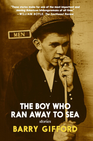 Cover of The Boy Who Ran Away to Sea