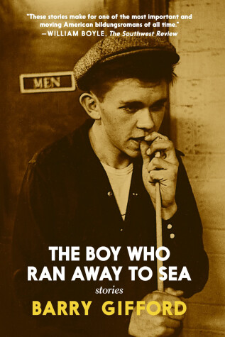 Book cover for The Boy Who Ran Away to Sea