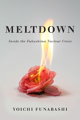 Book cover for Meltdown