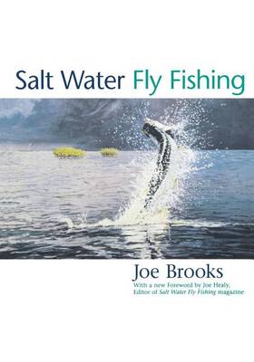 Book cover for Salt Water Fly Fishing