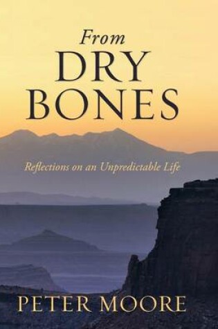 Cover of From Dry Bones