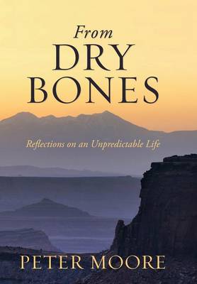 Book cover for From Dry Bones