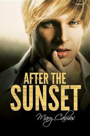 Cover of After the Sunset