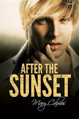 Book cover for After the Sunset