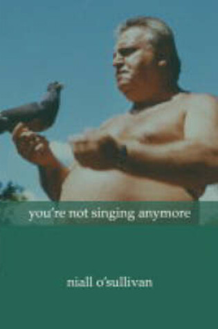 Cover of You're Not Singing Anymore