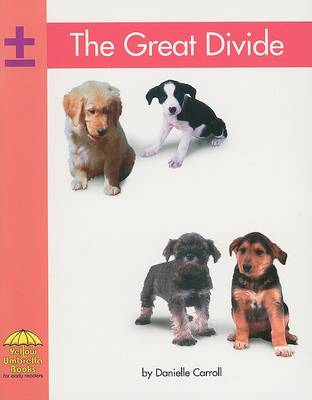 Cover of The Great Divide