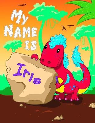 Book cover for My Name is Iris