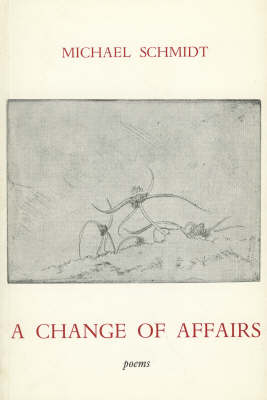 Book cover for A Change of Affairs