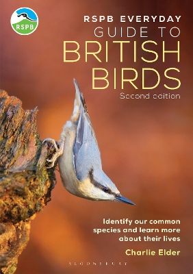 Book cover for RSPB Everyday Guide to British Birds