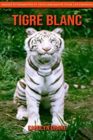 Cover of Tigre Blanc