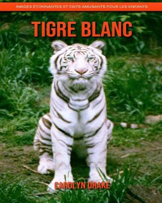 Book cover for Tigre Blanc
