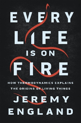 Book cover for Every Life Is On Fire