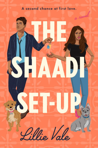 Cover of The Shaadi Set-Up