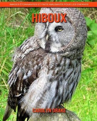 Book cover for Hiboux