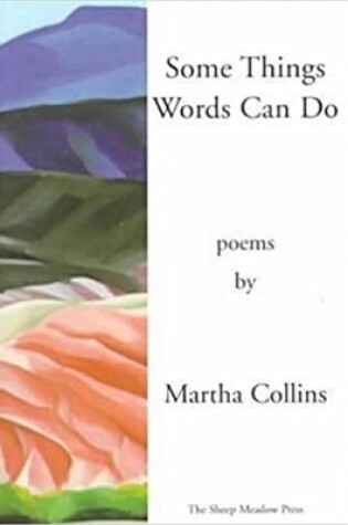 Cover of Some Things Words Can Do [Includes A History of Small Life on a Windy Planet, orig. pub. in 1993]