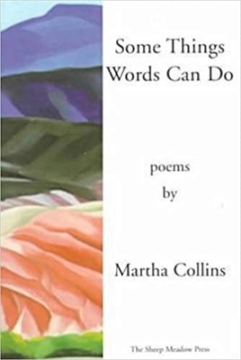 Book cover for Some Things Words Can Do [Includes A History of Small Life on a Windy Planet, orig. pub. in 1993]